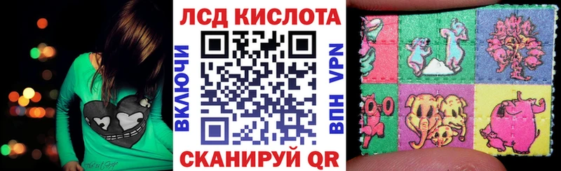 где купить наркоту  Грязовец  Марки NBOMe 1,8мг 
