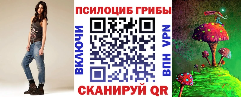 Галлюциногенные грибы мицелий закладка Грязовец
