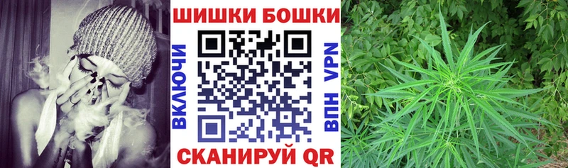 Бошки марихуана гибрид купить наркотик Грязовец